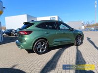 Gebraucht Ford Kuga ST-Line 186 PS (136 kW) 2025 Gruen SUV