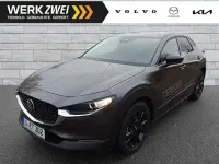 Gebraucht Mazda CX-30 Homura-Line 140 PS (102 kW) 2025 Machine gray SUV