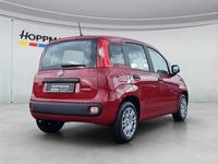 Neu Fiat Panda Pop 69 PS (50 kW) 2026 Rot Kleinwagen