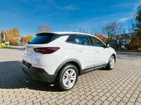Gebraucht Opel Grandland X Enjoy 131 PS (96 kW) 2023 Weiß SUV