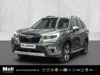 Gebraucht Subaru Forester Platinum 150 PS (110 kW) 2020 Jasper green (m) SUV