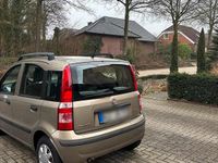 Gebraucht Fiat Panda 60 PS (44 kW) 2010 Gold Kleinwagen