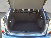 Gebraucht Ford Kuga ST-Line X 150 PS (110 kW) 2023 Blau SUV