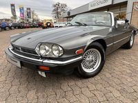 Gebraucht Jaguar XJS 264 PS (194 kW) 1989 Grau Cabrio