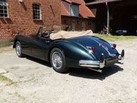 gebraucht Jaguar XK 140 SE Cabriolet - die schnelle Raubkatze