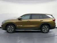 Gebraucht Skoda Kodiaq Selection 193 PS (141 kW) 2024 Gold SUV