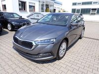 Gebraucht Skoda Octavia Style 110 PS (80 kW) 2023 Grau graphite grau (metallic) Limousine