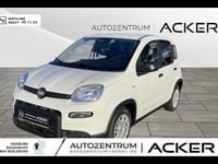 Neu Fiat Panda 69 PS (50 kW) 2025 Weiß Kleinwagen