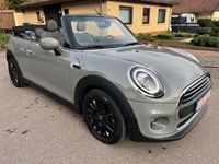 gebraucht Mini One Cabriolet One/1.Hd/Chili/LED/Navi/Applecar/SPORT/DAB/SHZ/PDC