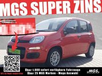 gebraucht Fiat Panda Easy 1.2 KAT #KLIMA #BT