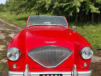 Brugt Austin Healey 100 90 HK (66 kW) 1954 Rød Cabriolet