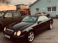 gebraucht Mercedes CLK230 