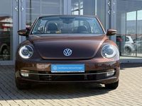 Gebraucht VW Beetle Cabriolet Allstar 150 PS (110 kW) 2016 Bronze metallic Cabrio