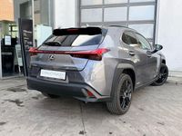 Gebraucht Lexus UX 250h 184 PS (135 kW) 2022 Grau SUV