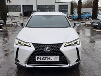 Gebraucht Lexus UX 250h Launch Edition 145 PS (106 kW) 2019 Weiß SUV
