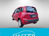 Neu Fiat Panda 69 PS (50 kW) 2025 Rot Kleinwagen