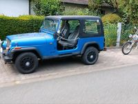 Gebraucht Jeep Wrangler 125 PS (91 kW) 1994 Blau SUV