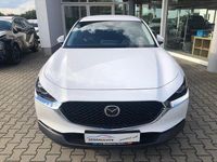 Gebraucht Mazda CX-30 Center-Line 140 PS (102 kW) 2025 Weiss SUV