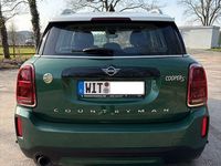 Gebraucht Mini Countryman 125 PS (91 kW) 2020 Grün SUV