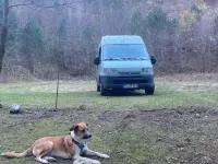 Gebraucht Peugeot Boxer 128 PS (94 kW) 2001 Grün Van