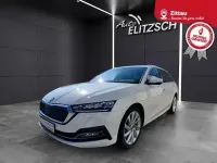 Gebraucht Skoda Octavia First Edition 150 PS (110 kW) 2020 Candyweiss Kombi