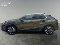 Gebraucht Lexus UX 250h 184 PS (135 kW) 2022 Grün SUV