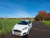 Gebraucht Ford Fiesta 75 PS (55 kW) 2016 Weiß Kleinwagen