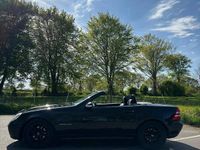 Gebraucht Mercedes SLK230 197 PS (144 kW) 2001 Schwarz Cabrio