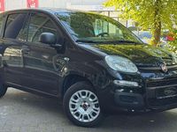 Gebraucht Fiat Panda 69 PS (50 kW) 2019 Nero profondo/cattivo/ Kleinwagen
