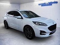 Gebraucht Ford Kuga ST-Line X 120 PS (88 kW) 2023 Frozen white SUV