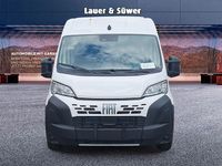 Neu Fiat Ducato 179 PS (131 kW) 2026 Weiß Van