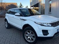 Gebraucht Land Rover Range Rover evoque 190 PS (139 kW) 2014 Weiß SUV