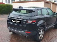 gebraucht Land Rover Range Rover evoque Pure Aut. KAMERA~NAVI~SHZ