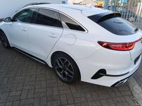 Gebraucht Kia ProCeed GT-Line 140 PS (102 kW) 2020 (hw2) deluxe white m Kombi