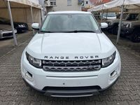 Gebraucht Land Rover Range Rover evoque 150 PS (110 kW) 2013 Weiß SUV