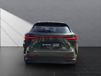 Neu Lexus NX450h+ Executive Line 309 PS (227 kW) 2026 Grün SUV