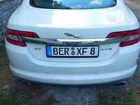 Gebraucht Jaguar XF 416 PS (305 kW) 2008 Weiß Limousine