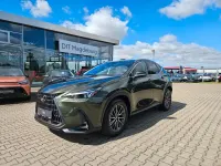 Neu Lexus NX450h+ E-FOUR Executive Line 292 PS (214 kW) 2026 Grün SUV