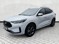 Neu Ford Kuga ST-Line 186 PS (136 kW) 2026 Frozenwhite SUV