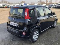 Gebraucht Fiat Panda 69 PS (50 kW) 2024 Schwarz Kleinwagen