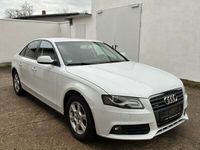 gebraucht Audi A4 Quattro Weiß Standheizung Alufelgen 8fach Bereift TÜV