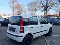 Gebraucht Fiat Panda 69 PS (50 kW) 2010 Weiß Kleinwagen