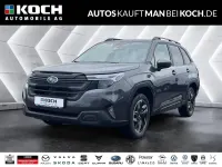 Gebraucht Subaru Forester Exclusive+ 136 PS (100 kW) 2025 Grau SUV