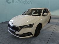 gebraucht Skoda Octavia Combi 2.0TDI First Edition DSG AHK LED R