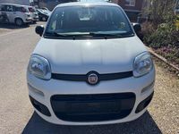 Gebraucht Fiat Panda 69 PS (50 kW) 2017 Weiß Kleinwagen