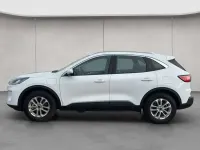 Usata Ford Kuga Titanium 224 CV (164 kW) 2022 Bianco SUV