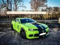 Gebraucht Chevrolet Camaro SS 426 PS (313 kW) 2013 Grün Coupé