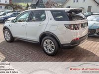 gebraucht Land Rover Discovery Sport P300e S Panorama / ACC /Meridian