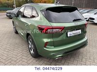 Gebraucht Ford Kuga ST-Line X 152 PS (111 kW) 2024 Grün SUV