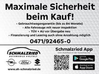 Neu BYD Dolphin Surf Active 64 kW (88 PS) 2025 Blau Kleinwagen